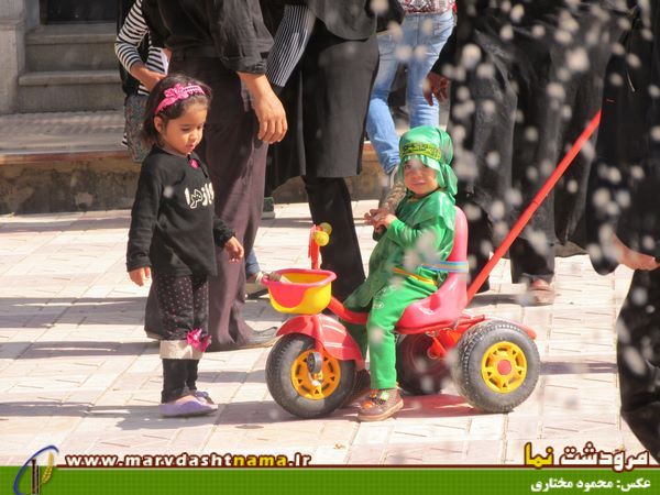 گزارش تصویری: تصاویری از عزاداری صبح عاشورا در مرودشت