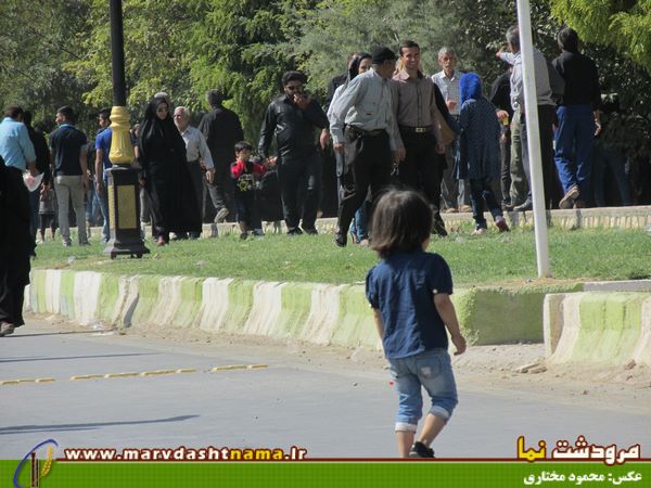 گزارش تصویری: تصاویری از عزاداری صبح عاشورا در مرودشت